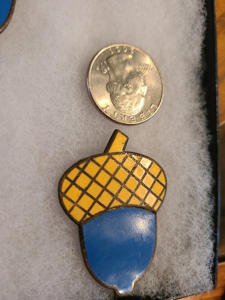 Civil War 14th Corps Badge