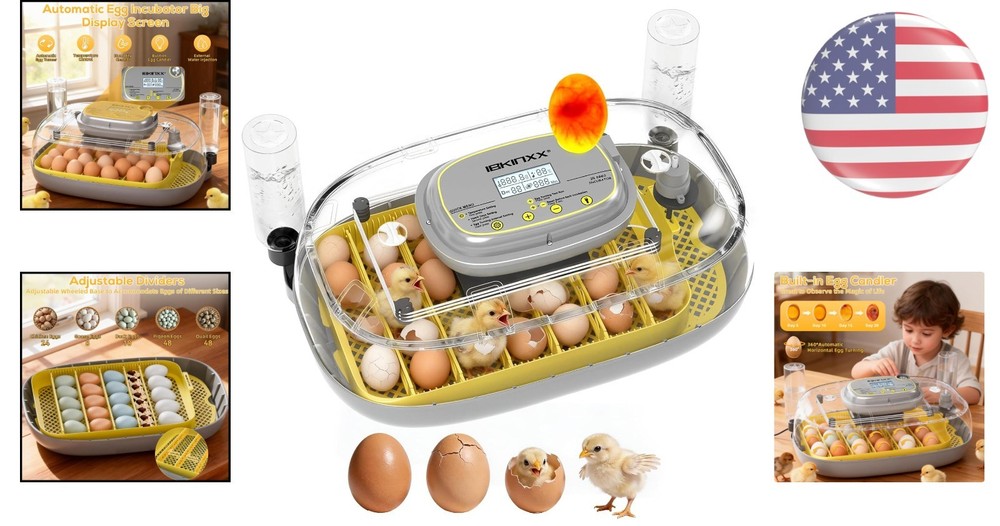 Automatic Egg Incubator - 24 Egg Capacity with Smart Temp Control & 360° View