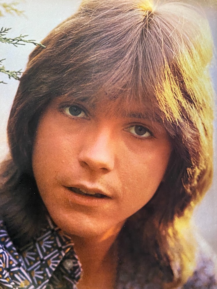 David Cassidy, Full Page Vintage Pinup