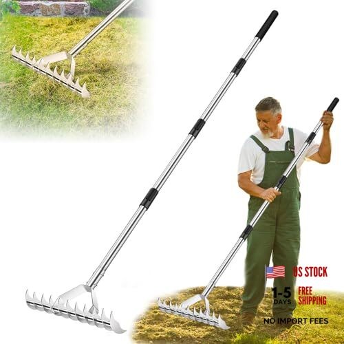 62" Thatch Rake, Adjustable Handle 15-Inch Wide Lawn Thatching Rake for