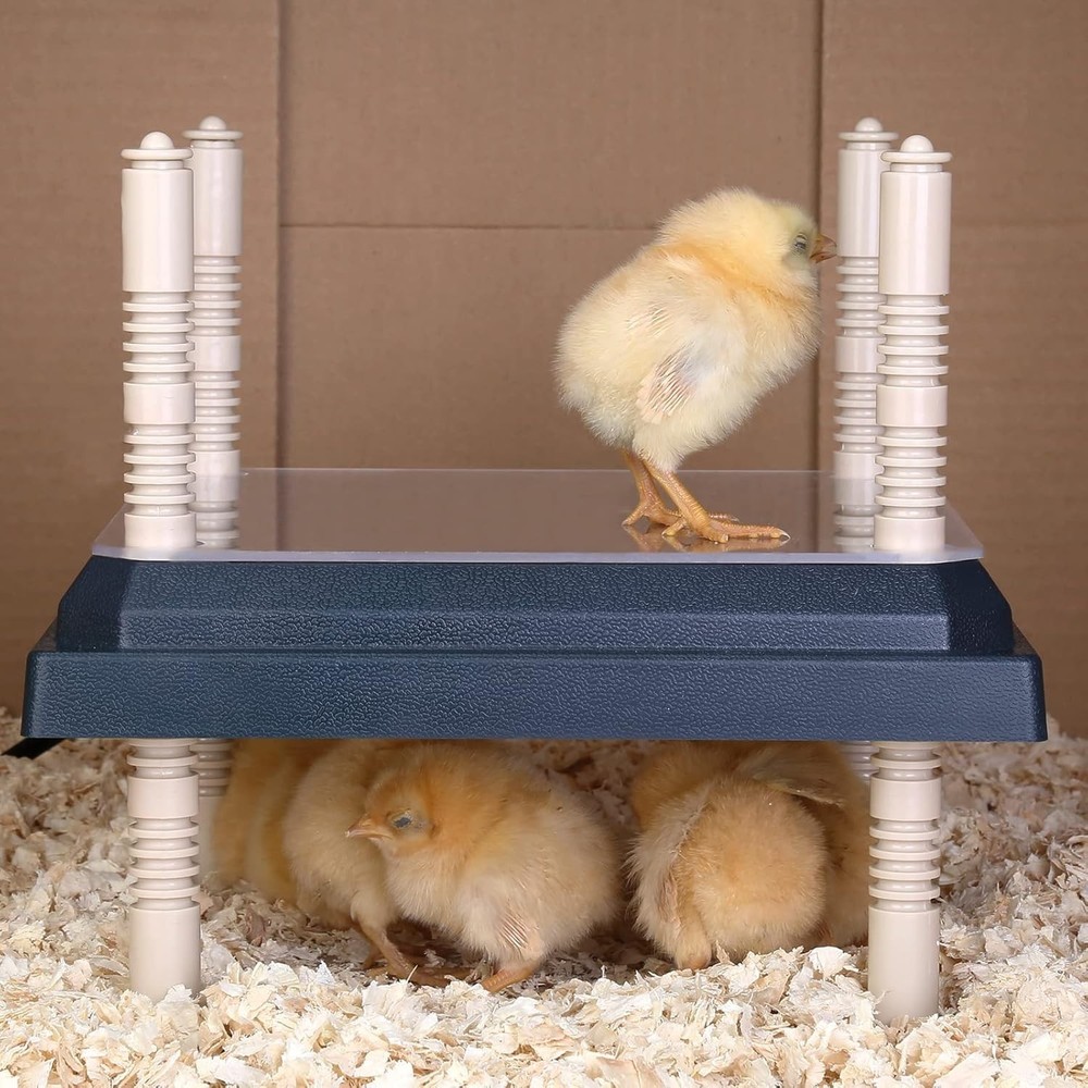 Durable Chick Brooder Heater 10" x 10" with Adjustable Heights for Cozy Warmth