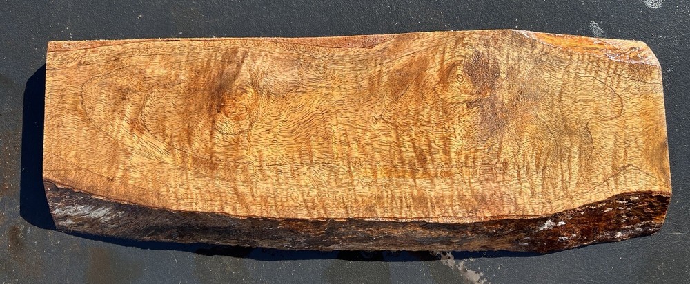 Hawaiian Curly Mango Board #14039
