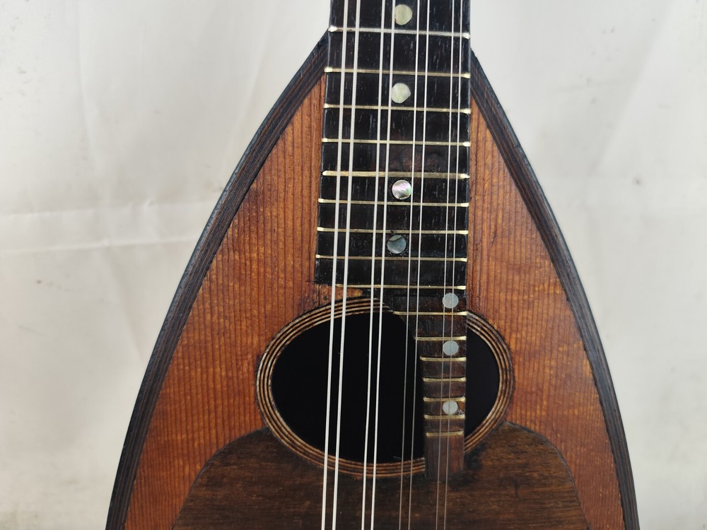 Mandolin 4/4 Renacchi 1900 Naples 曼陀林 만돌린マンドリン