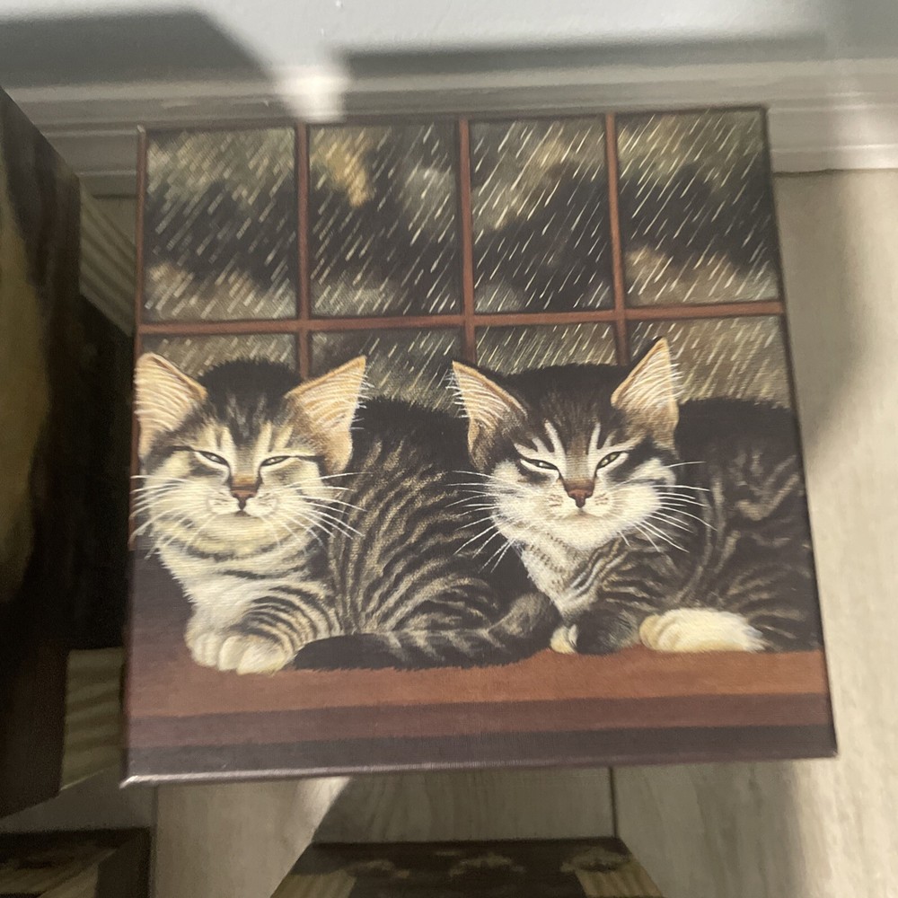 Complete Set of 7 Bobs Boxes Cat Decor Design Stackable Nesting Boxes