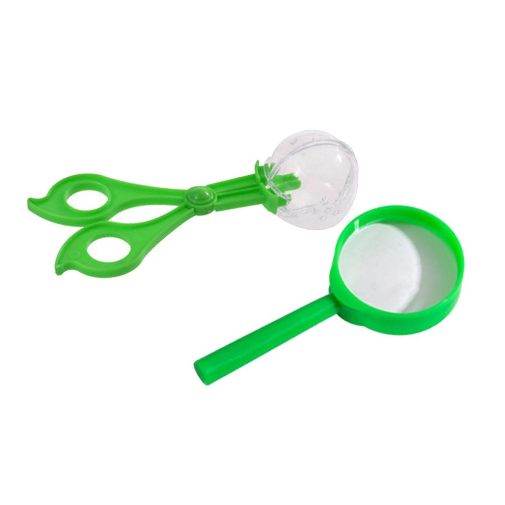 Insert Bug Viewer Magnifier Bug Observation Container Nature Exploration