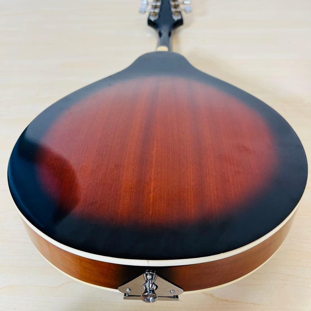 ARIA AM-20 Mandolin 8 string with hard case
