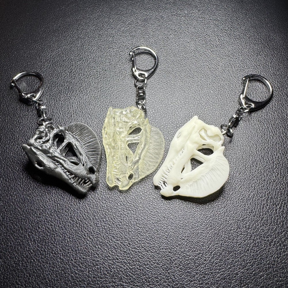 Dilophosaurus | Keychain Skull Replica (Black)