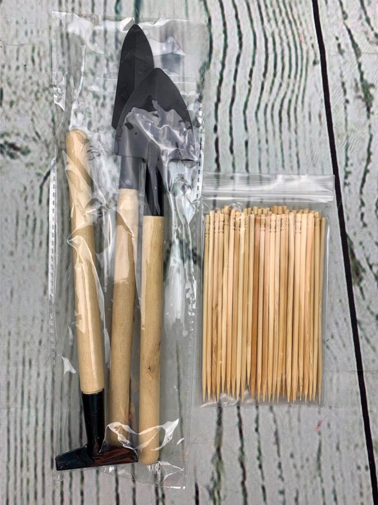 Avocado Grow kit Toothpick Method Practical Grow 3 Small Tools