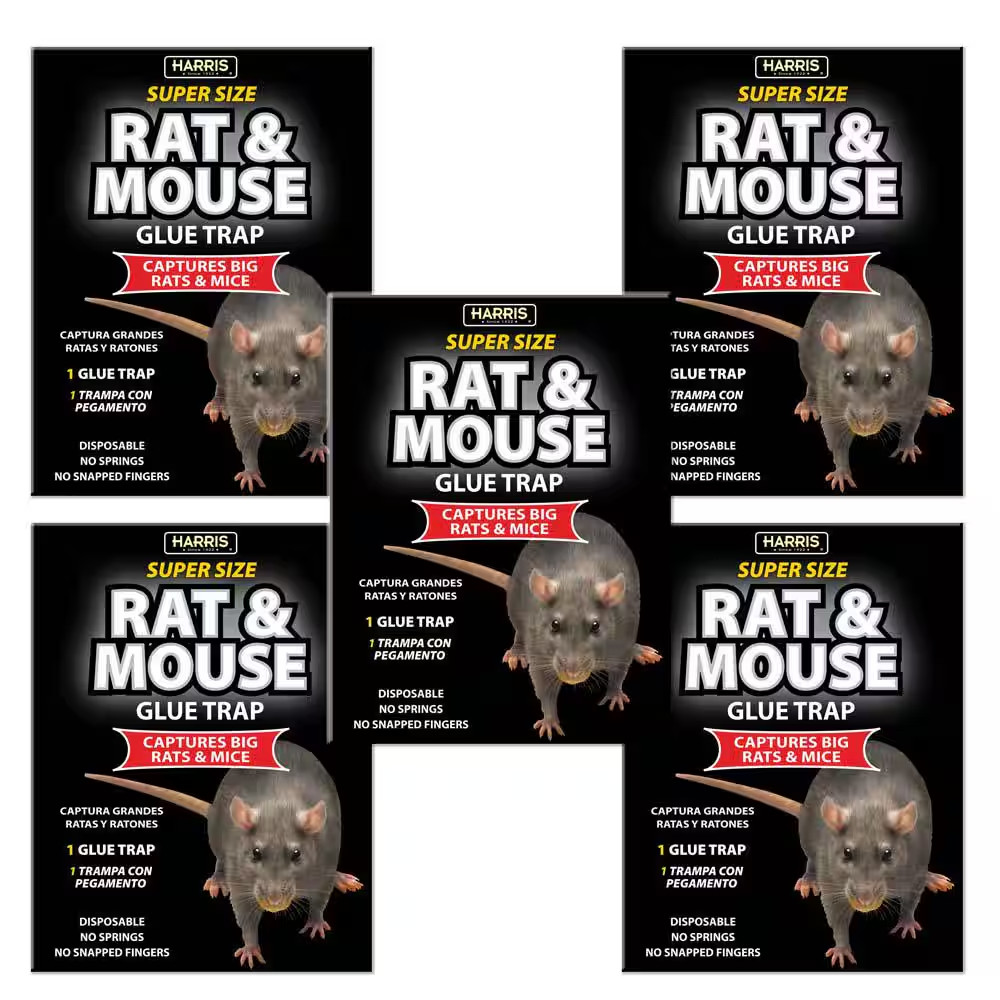 Rat and Mouse Glue Trap Super-Size (5-Pack)