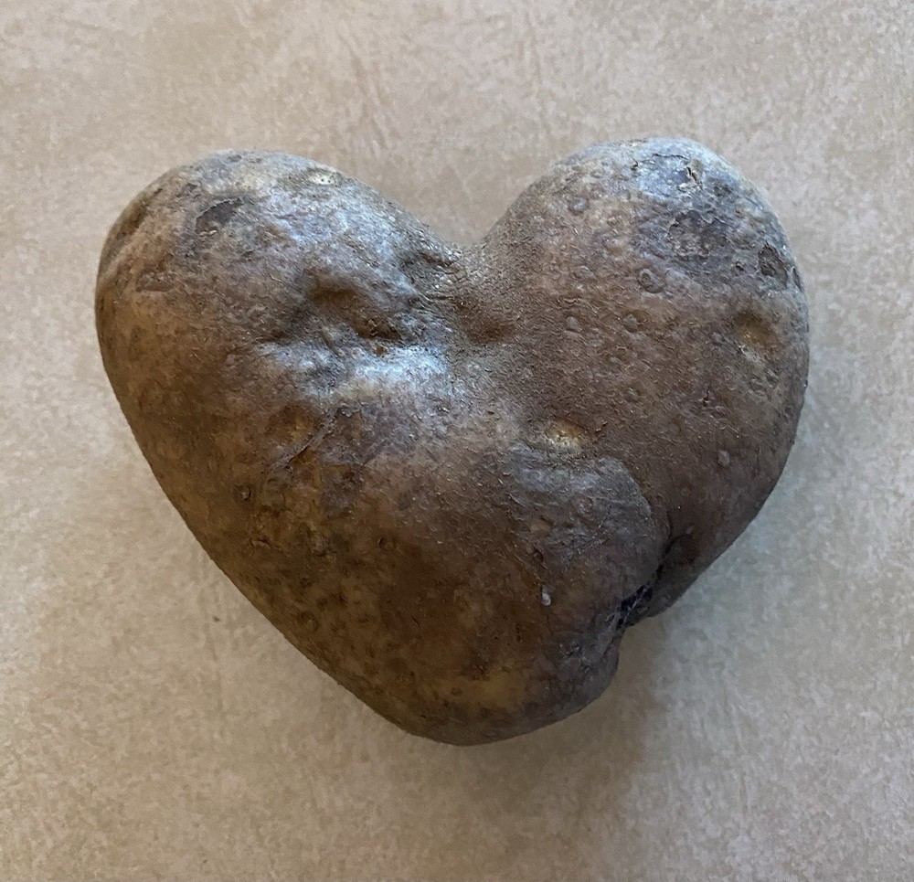 Heart Shaped Potato-HURRY before someone (my Husband) Eats It.