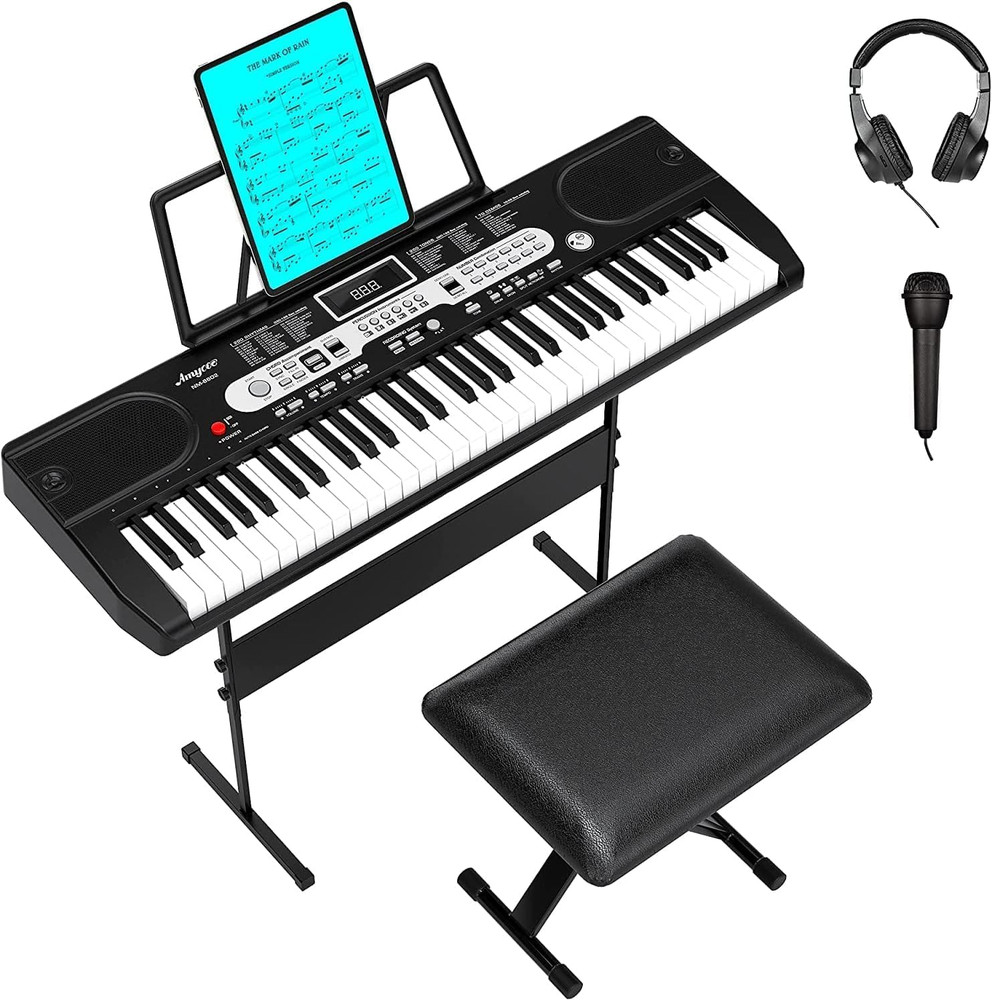 61-Key Portable Electric Keyboard, HIPS Material, with Accessories, Compact and