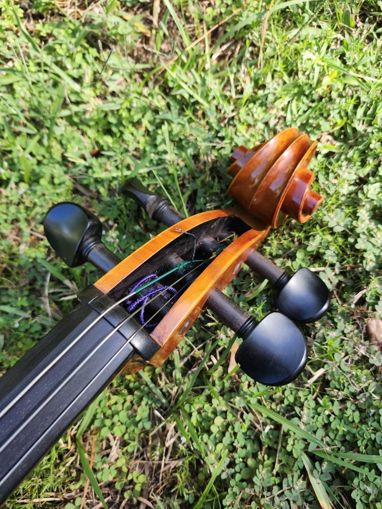 Samuel Eastman VC80 - 4/4 Student Cello 2009 W/soft Case