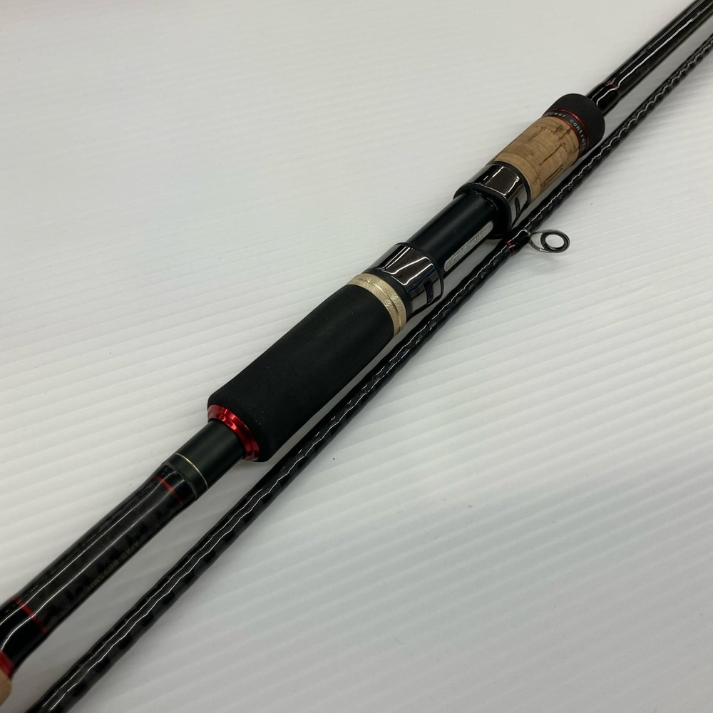 APIA seabass rod Foojin AD ﾋﾞｰｽﾄﾌﾞﾛｳﾙ95MH