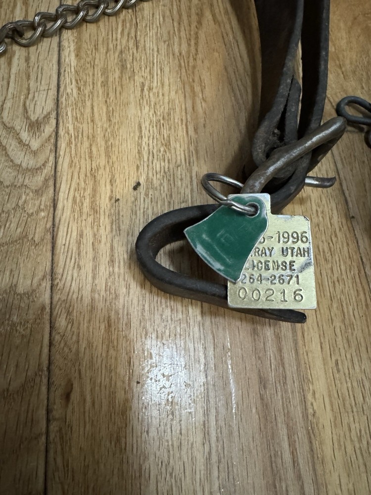 Vintage Dog Collar Chain And Tag
