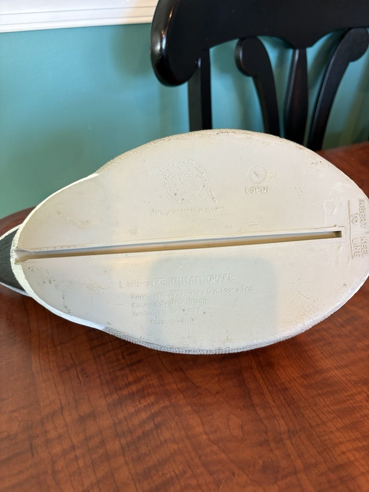 Pintail Drake Greenhead Life size