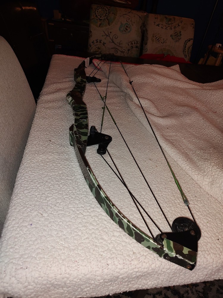 Bear Whitetail Hunter Compound Bow