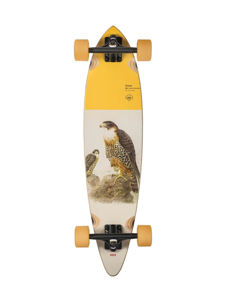 Globe Longboard Pintail 34 Falcon 8.5" x 34"
