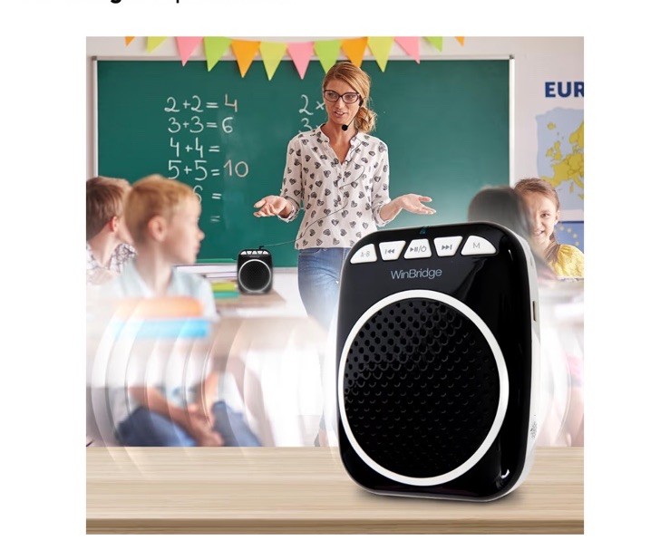 WinBridge WB001 Voice Amplifier