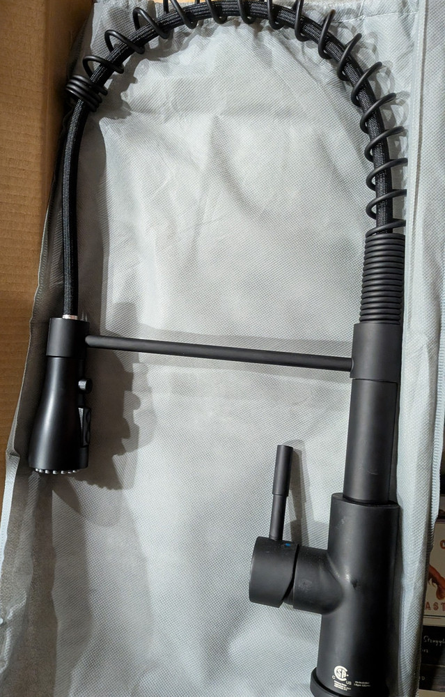 Pacific Bay Rainier Coil Pulldown Kitchen Faucet