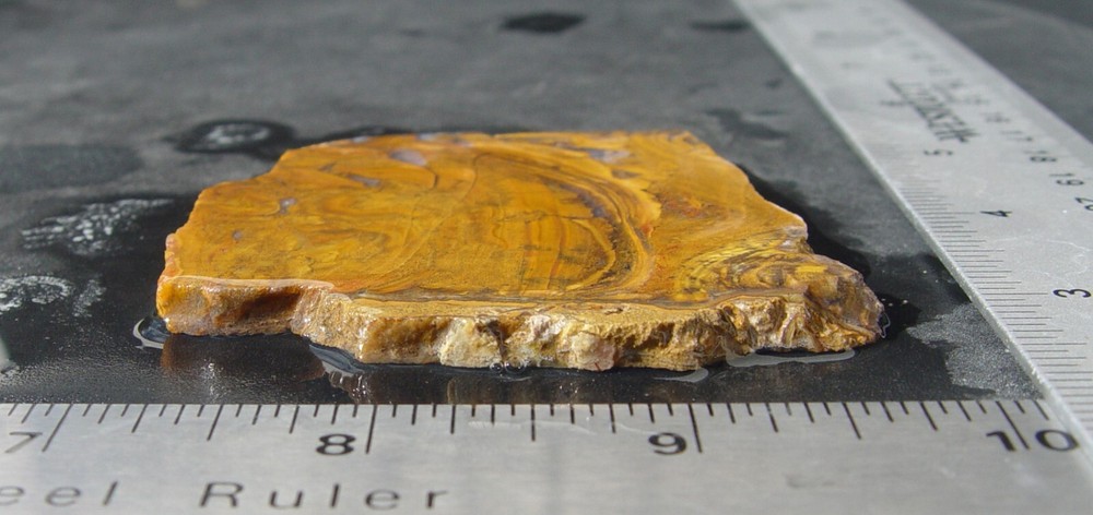 Roostertail Agate Lapidary Slab 1342