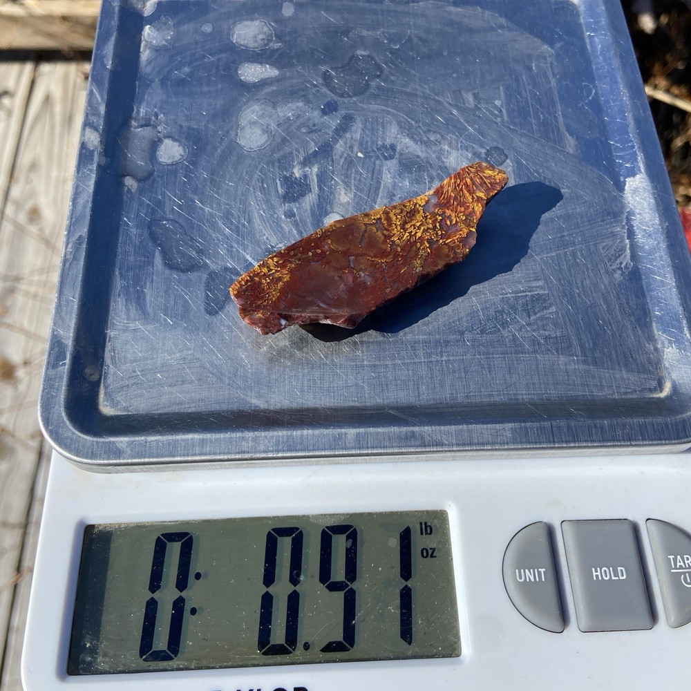 Sagenite Agate End Cut Vibrant!