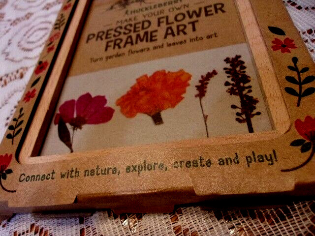 Kikkerland Pressed Flower Frame- New