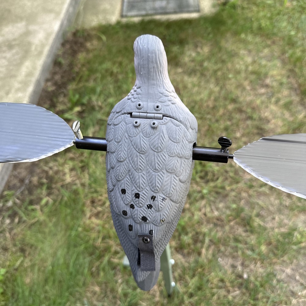 Mojo Dove HW2002 Decoy Hunting Bird