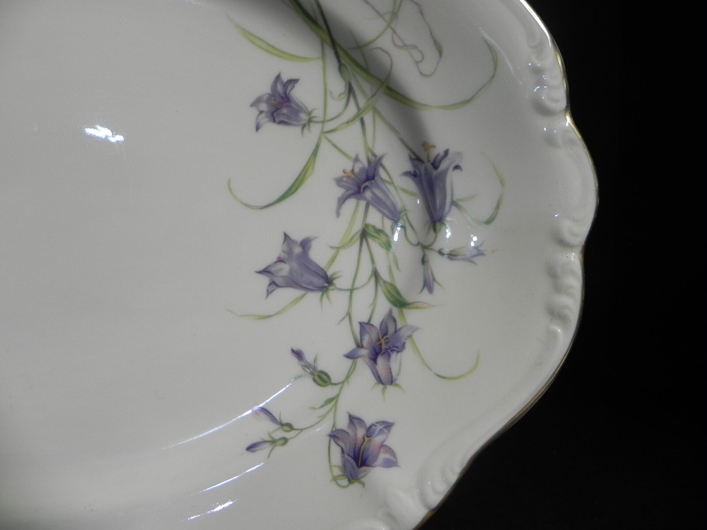 13 inch Oval Serving Platter by Rosenthal ANCIENT BEAUTY