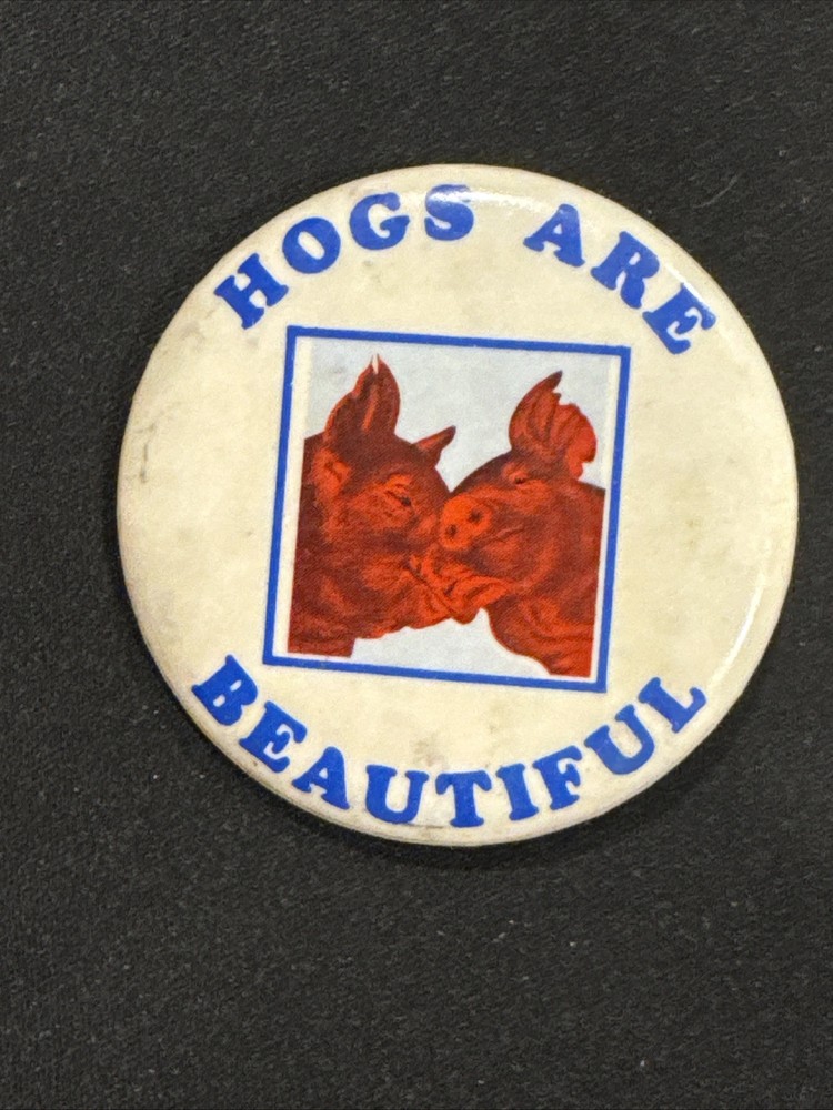 HOGS ARE BEAUTIFUL 2.25" celluloid pinback button pigs ham ^