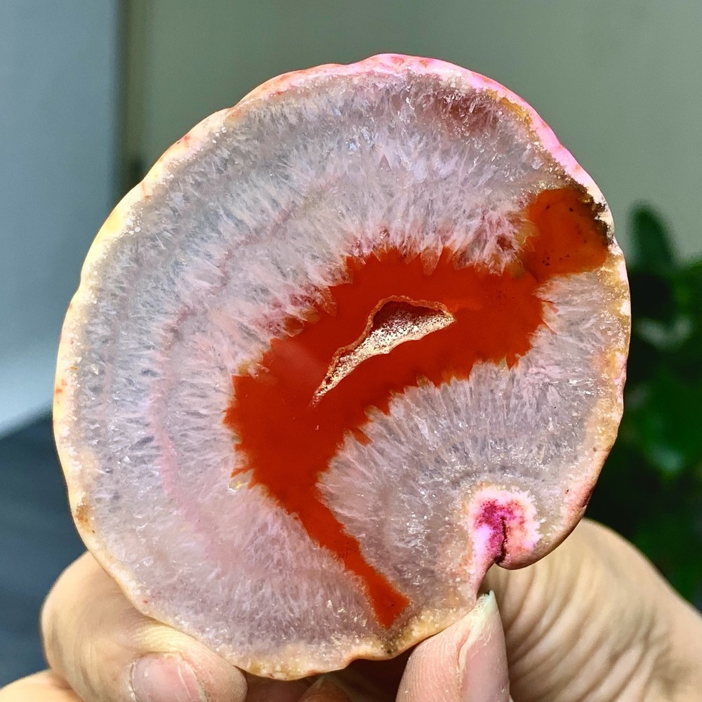 42G Natural Beautiful Agate Geode Druzy Slice Extra Large Gemstone