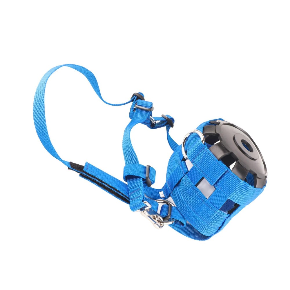 Blue Nylon Horse Grazing Muzzle & Anti-Bite Halter with Adjustable Fastener