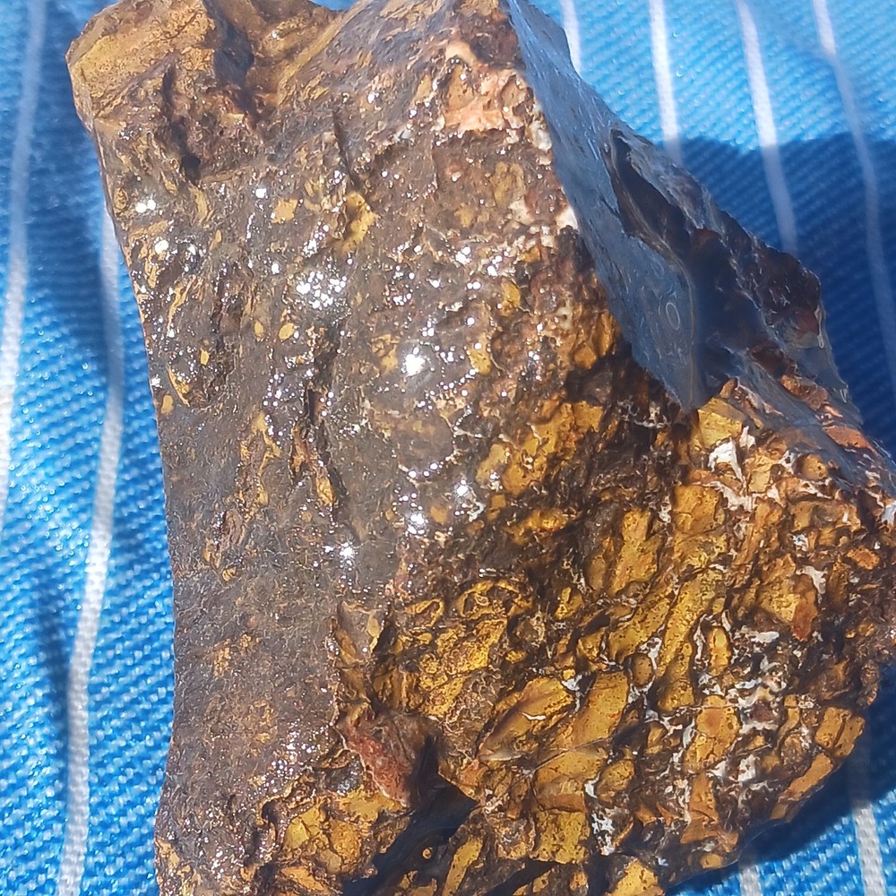 Jasper Rough Specimen Display Lapidary Potential