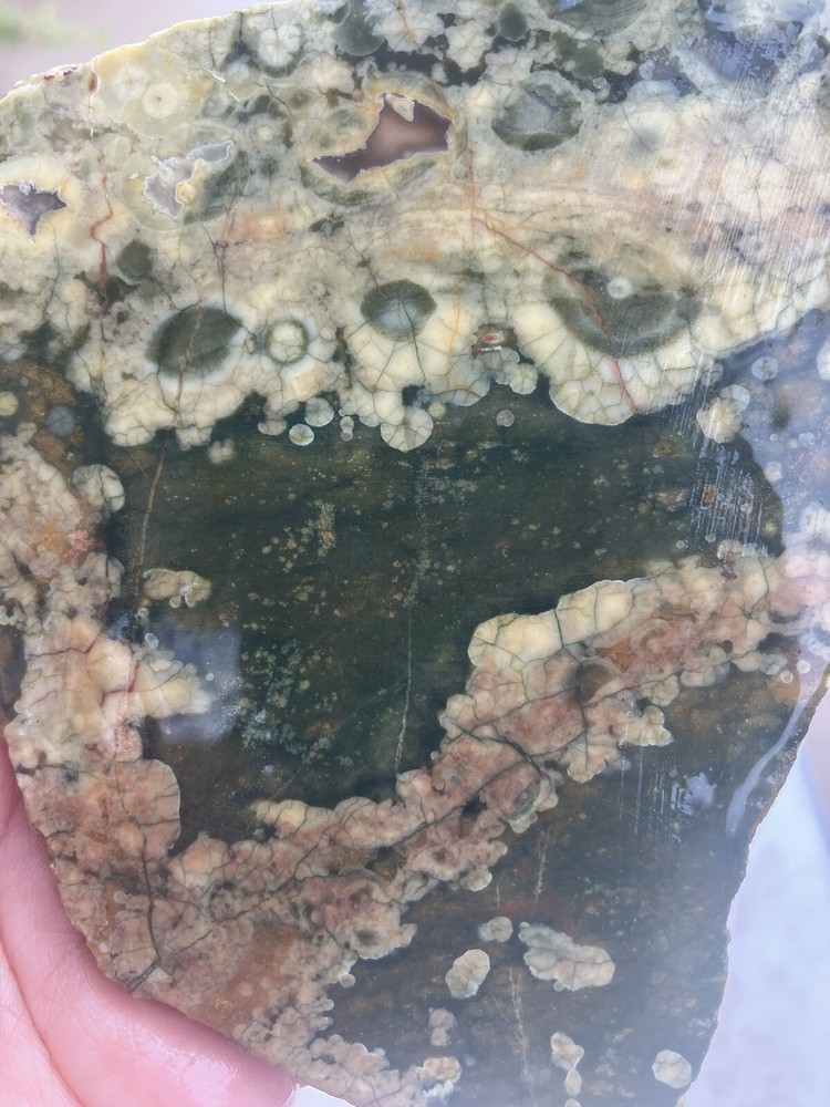 Rainforest Jasper Slab