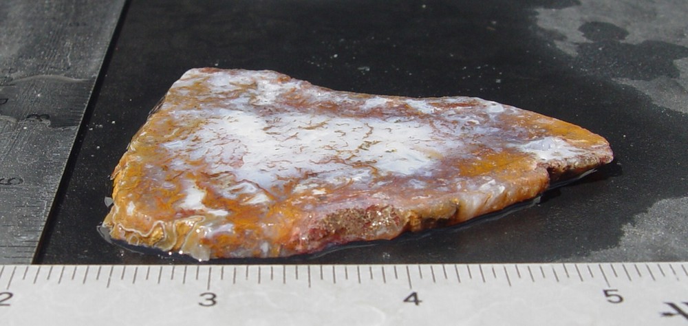 Gold Moss Agate Lapidary Slab 1486