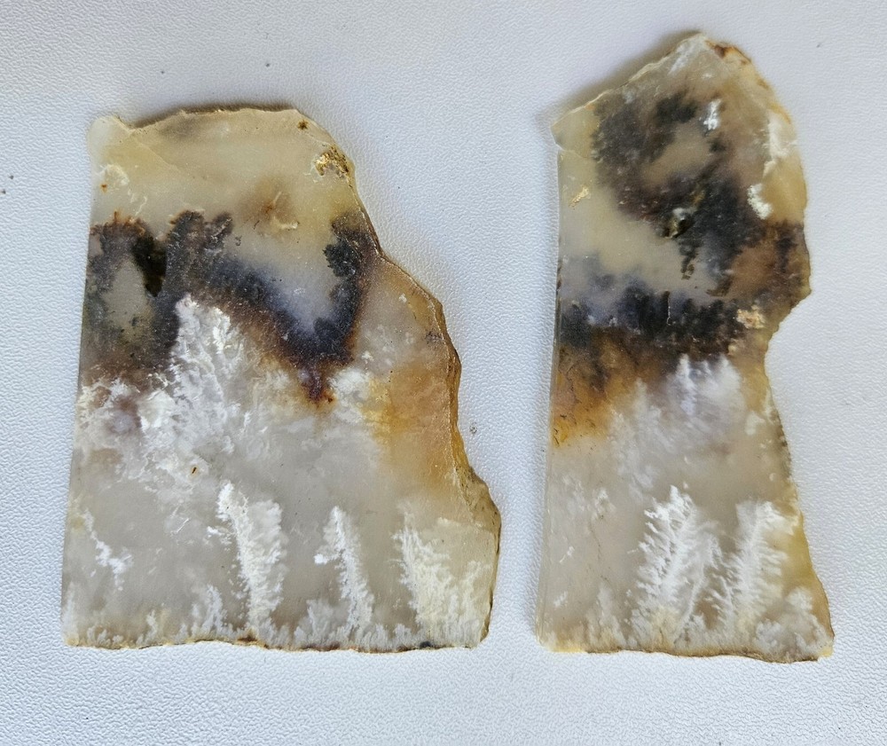 Nice Graveyard Plume Agate Lapidary Slabs 76 Grams