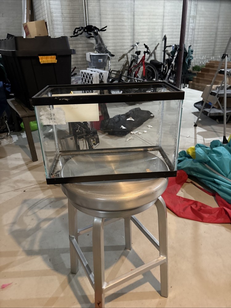 Glass Aquarium 5.5 Gallon Rectangular Fish Tank Easy Setup Custom Accessories US