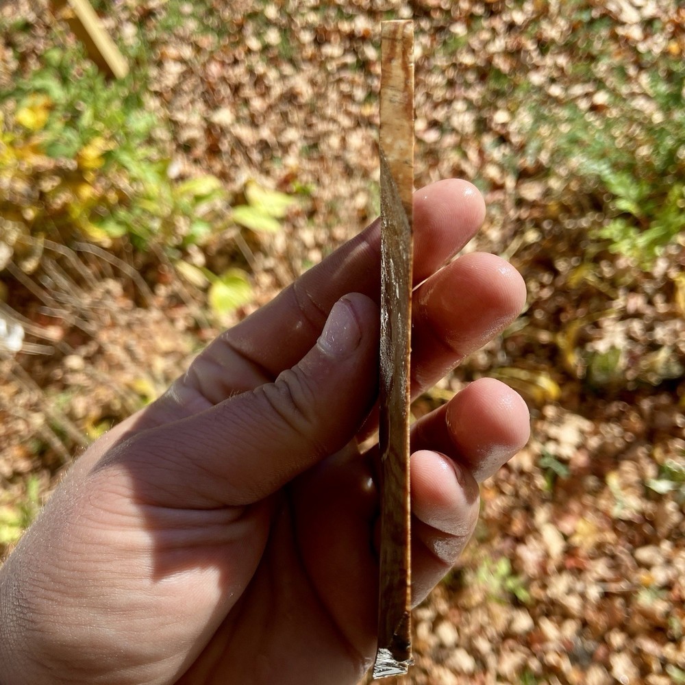 B Grade Biggs Jasper Rough Slab 3 Oz