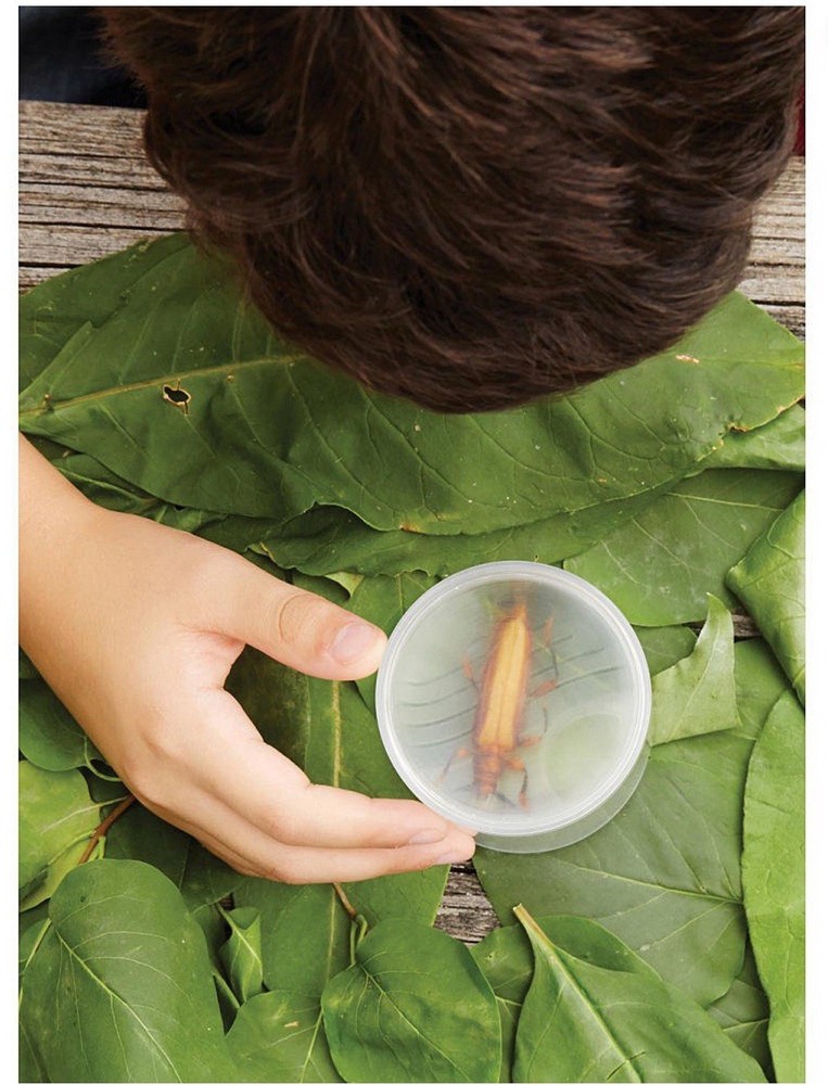 Edu Science Nature Bug Vacuum Set