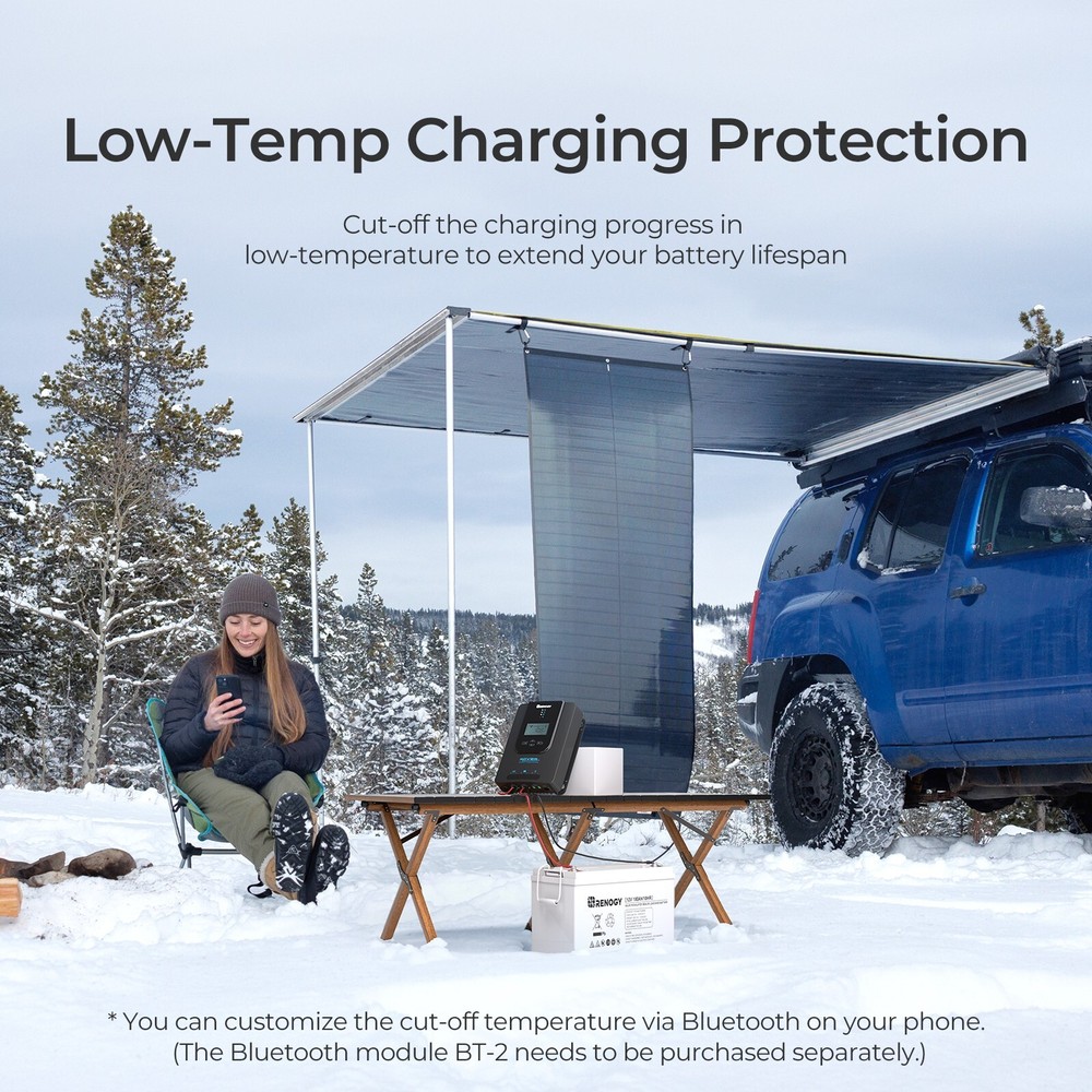 Renogy 20 Amp 12V/24V DC Input MPPT Auto Parameter Solar Charge Controller