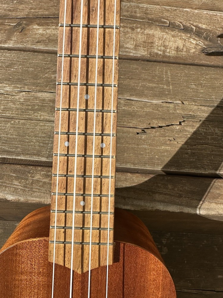 aNueNue Ugoo (rabbit logo) Ukulele!!