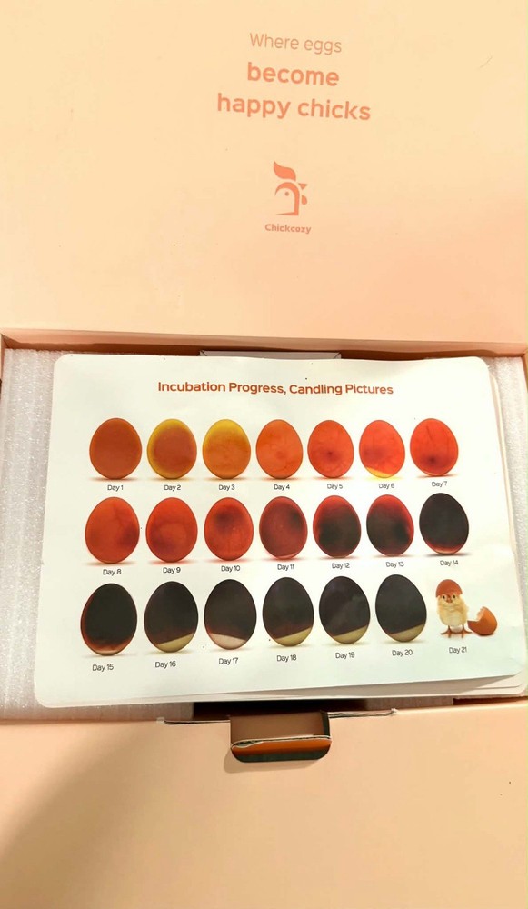 Chickcozy 25 Egg Incubator Automatic Turner Temperature Control w/ Box