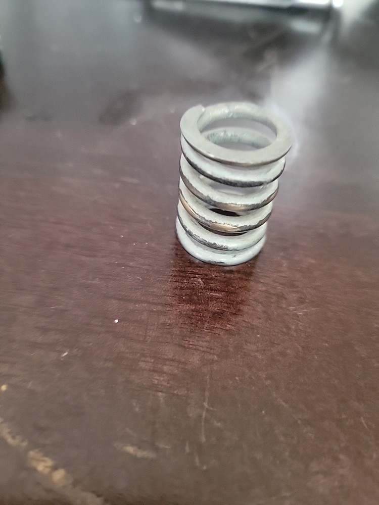 Bigsby Nickel Spring