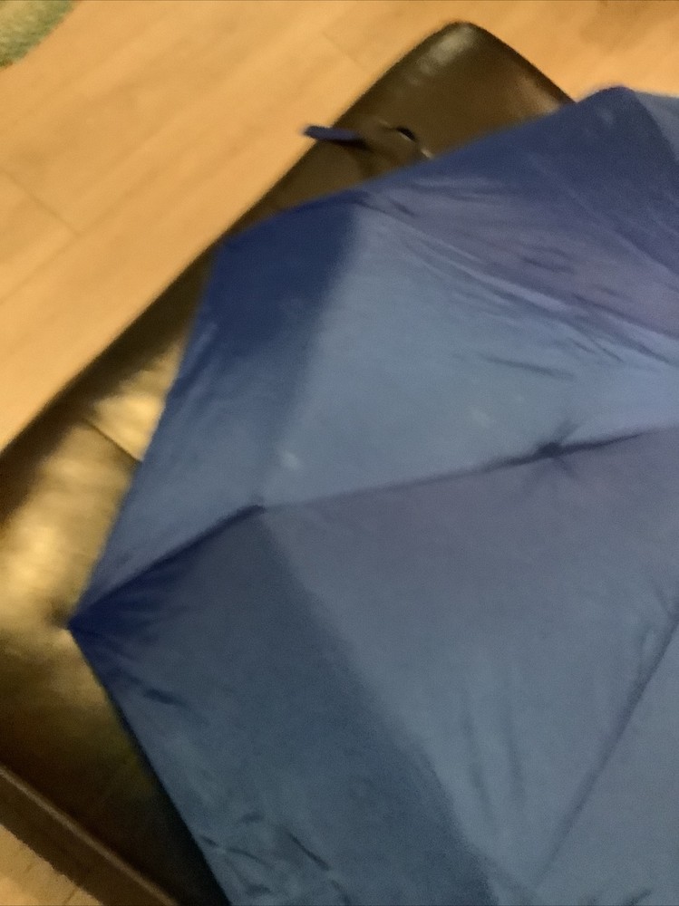 The Weather Station Blue Compact Umbrella