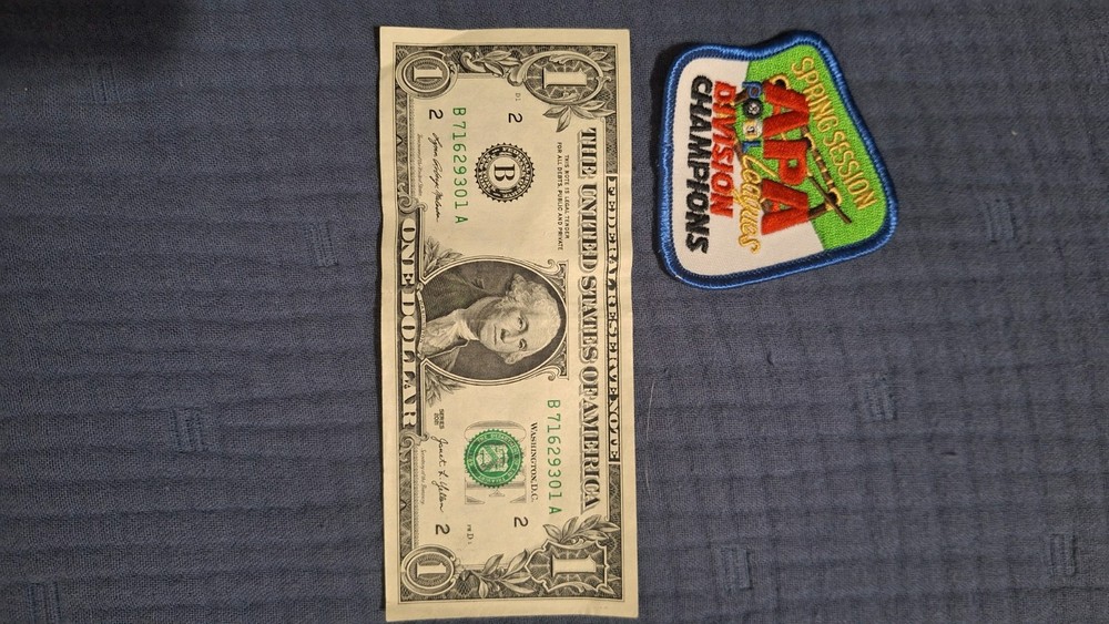 APA Spring Session Pool Leagues Division Champions patch. NEW