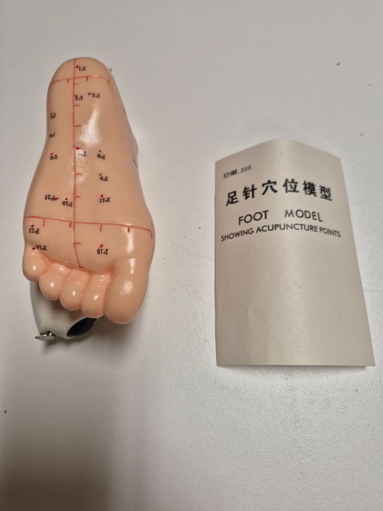 Acupuncture Foot Model for Acupressure Points to Practice on, Instruct Phamplet