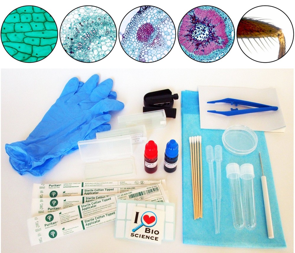 All-in-One Microscope Slide Preparation Kit, 40 Pieces