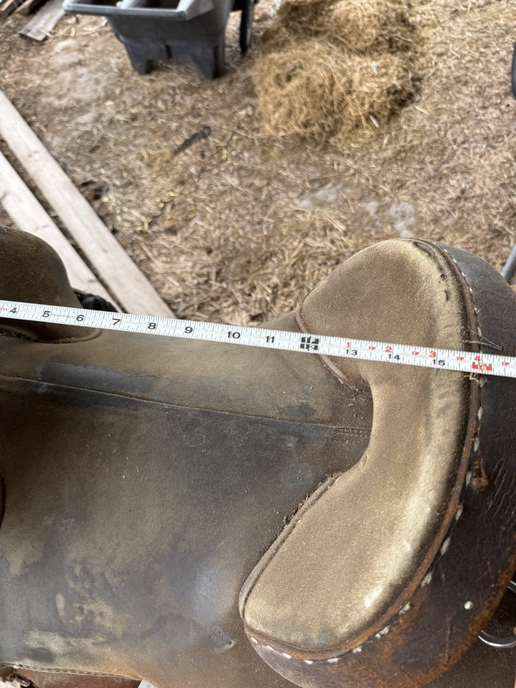 15” Sport Saddle Training Saddle