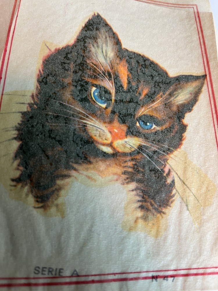 Vintage Water Slide Decals Cat
