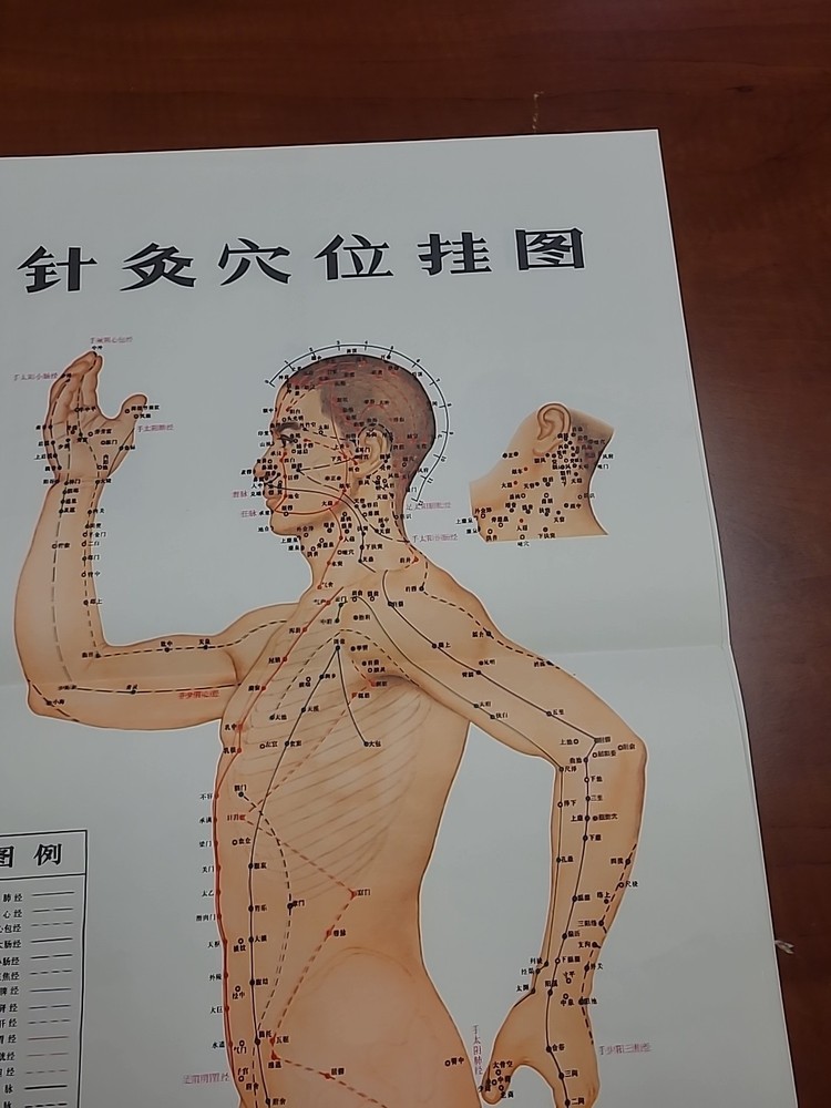 Chinese Acupuncture Point Chart