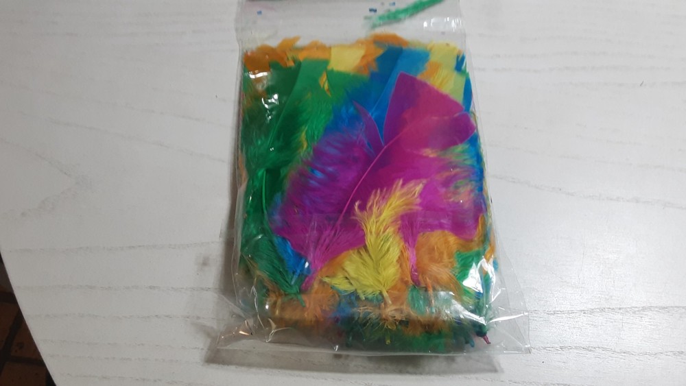 120 ArtSkills Crafter’s Closet Rainbow Craft Feathers Each Packing